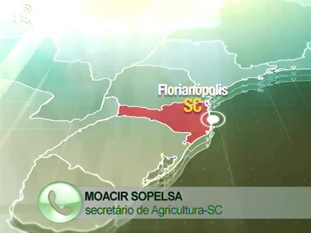 Suínos: secretário explica redução do ICMS em SC