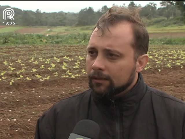 SP: prefeitura incentiva agricultura em mananciais