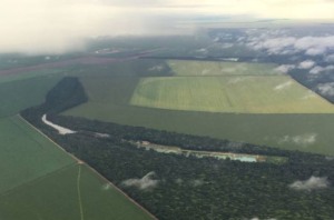 meio ambiente, desmatamento, terras, área, propriedade rural, lavoura, área rural