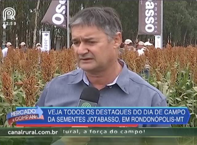 Conheça os benefícios do cultivo do sorgo