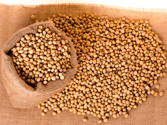 Diferente do dia anterior, preços de soja caem e mercado não reage; confira as cotações
