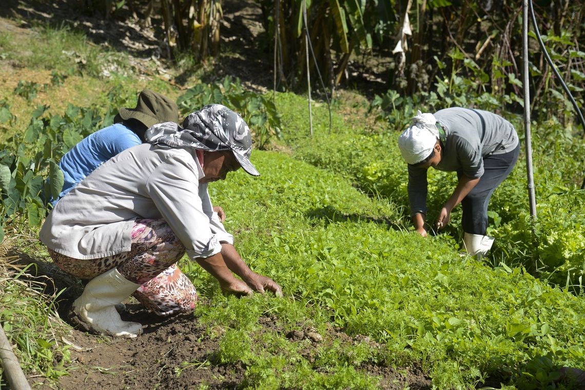 Produtores de Mariana diversificam produção em áreas atingidas pela lama