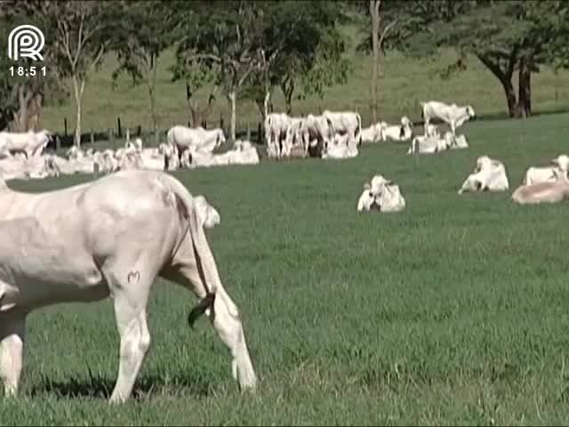 MG: a cada dois dias, uma fazenda é roubada