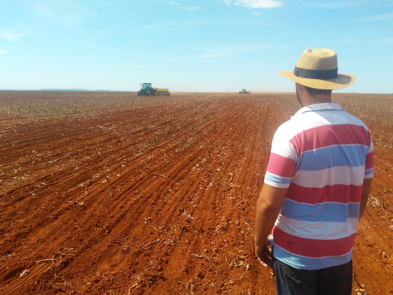 Replantio e falhas de germinação exigem cautela nas vendas antecipadas da safra de soja 25/26