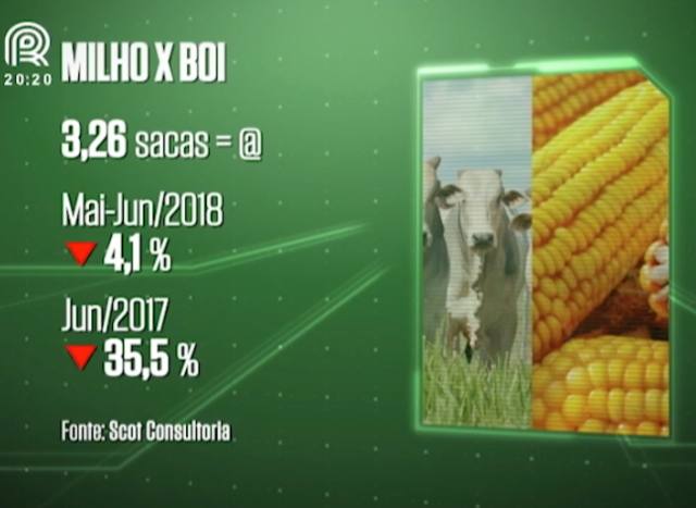 Análise: relação de troca entre boi gordo e milho