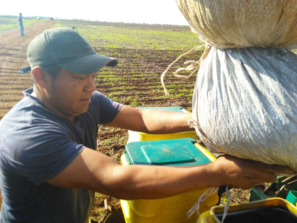 índio em Mato Grosso produtor de soja