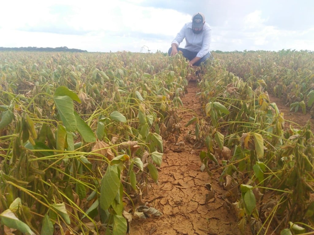 produtor soja na seca em Mato Grosso