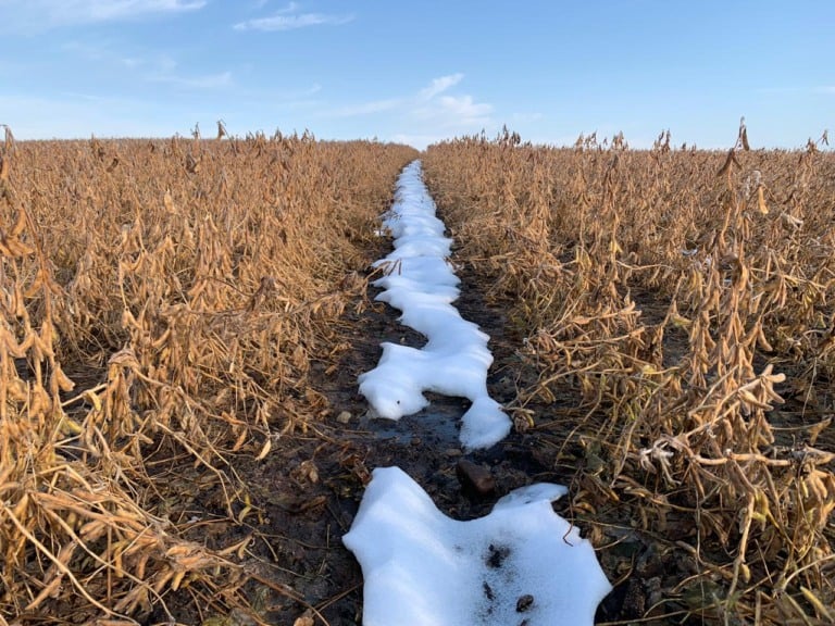 neve, soja, EUA, Estados Unidos neve, soja, EUA, Estados Unidos