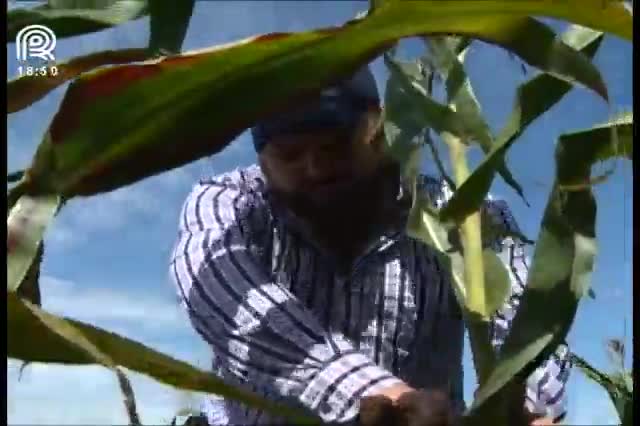 Momento é ideal para comprar fertilizantes para a safra de verão