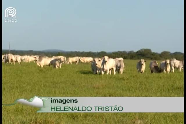 Carne bovina: apenas 1% tem selo de qualidade