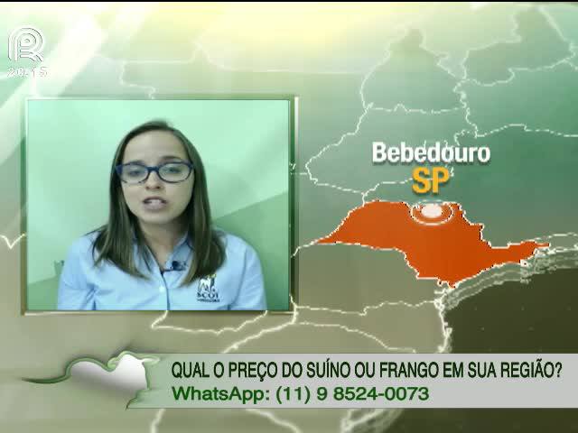 Saiba por que o frango está valorizado