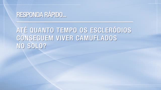 Quanto tempo os escleródios vivem camuflados?