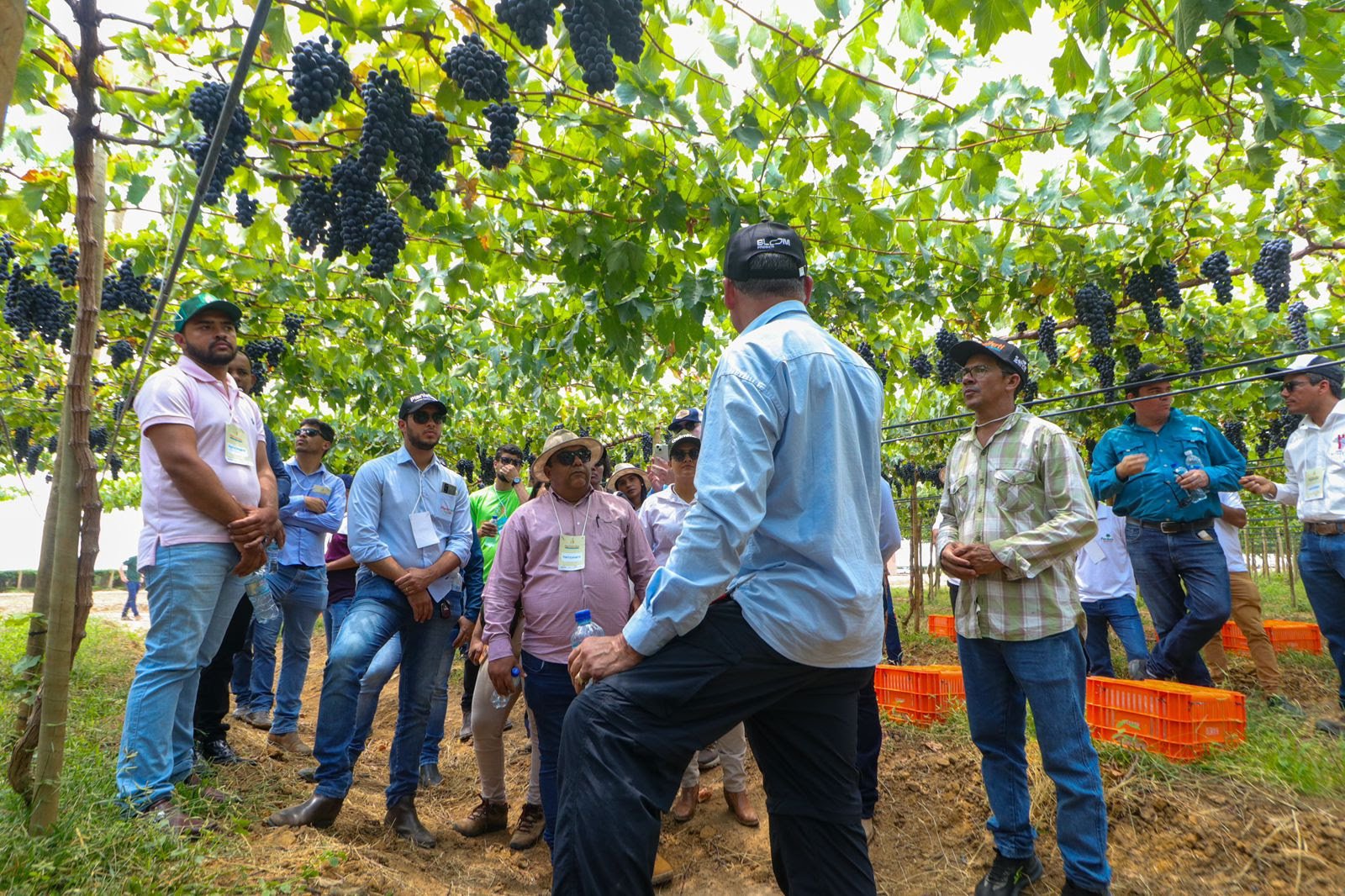 Barra Agro Show 2025 já conta com 60 expositores confirmados para impulsionar fruticultura