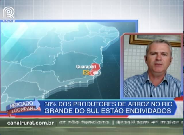 Arroz: 30% dos produtores estão endividados