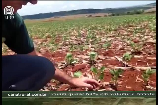 Chuvas irregulares atrasam o plantio no Paraná