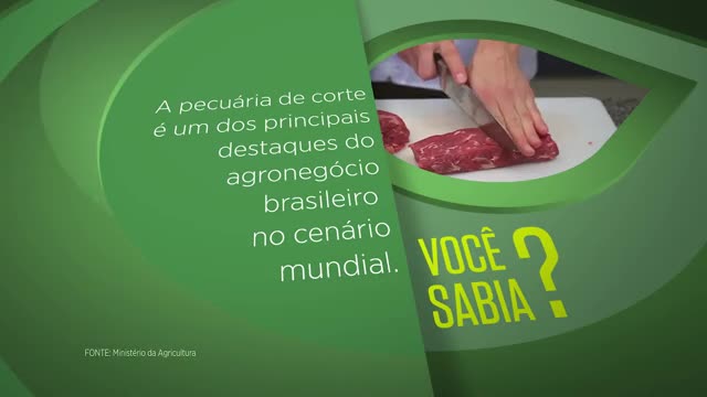 blog minuto do sabor - torta de carne moída