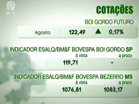 Cenário para o mercado do boi gordo é de firmeza