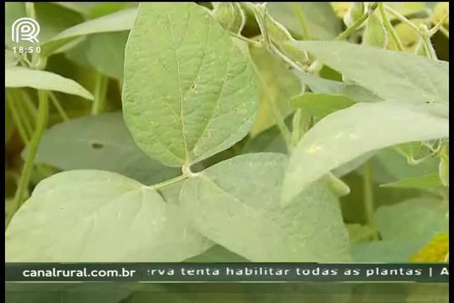 Atenção ao clima garante resultados melhores no campo