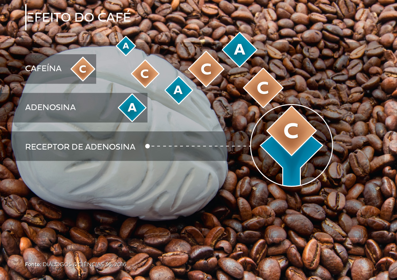  café, cafeína