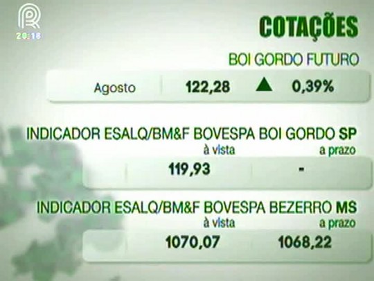 Mercado do boi gordo fica firme nesta terça, dia 5