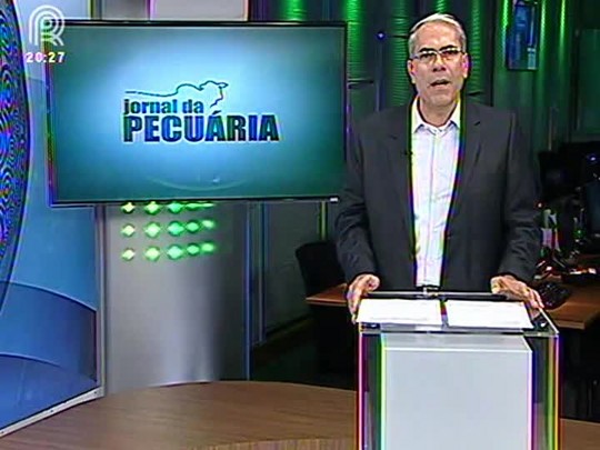 Campeonato Nacional da Raça Quarto de Milha reúne competidores e apaixonados pelo cavalo