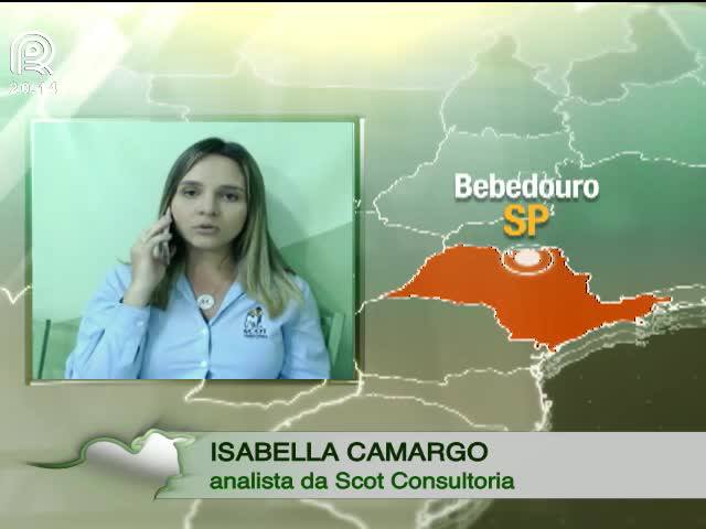 Saiba qual foi o lucro do pecuarista em 2016