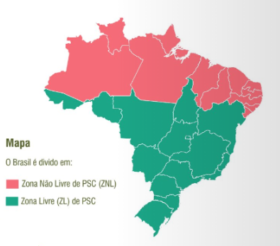 Mapa peste suína clássica, suínos