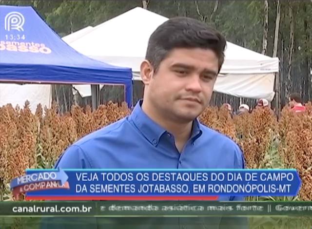 Entenda a importância da adubação para o sorgo