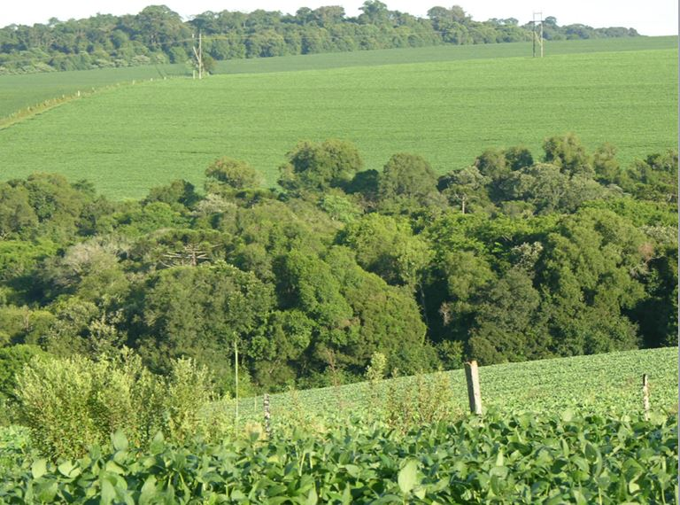 área ambiental preservada, licenciamento ambiental