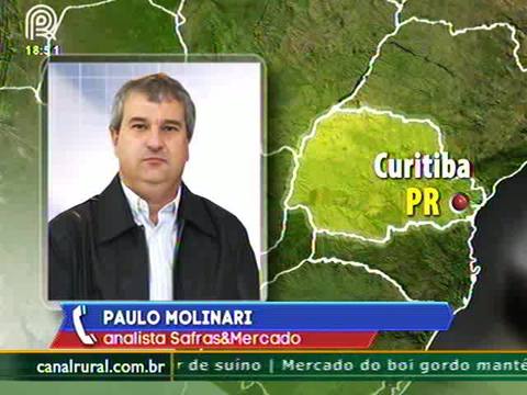 Milho: estoques públicos só atendem o Nordeste