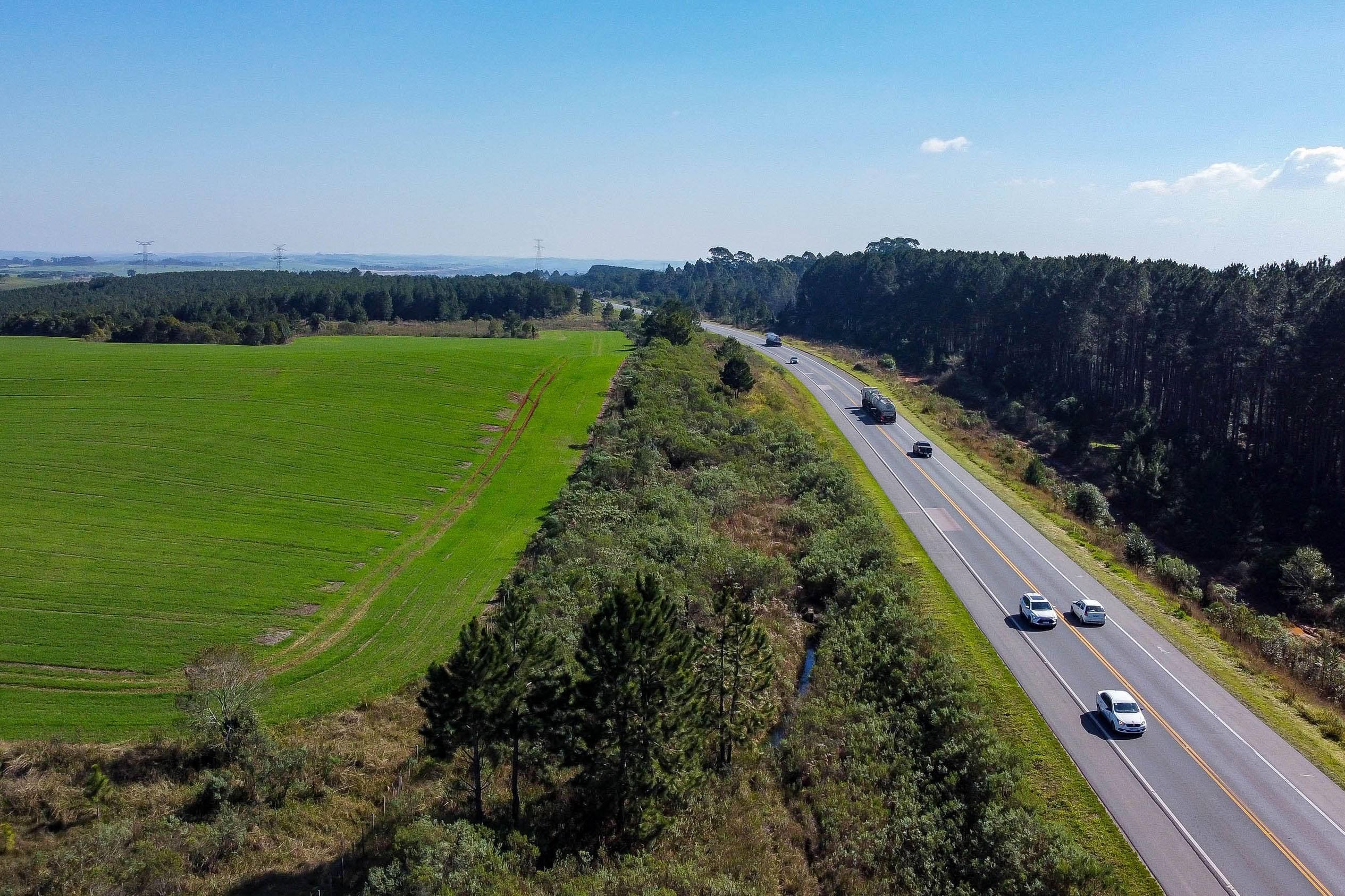 rodovia no Paraná, no município de Palmeira