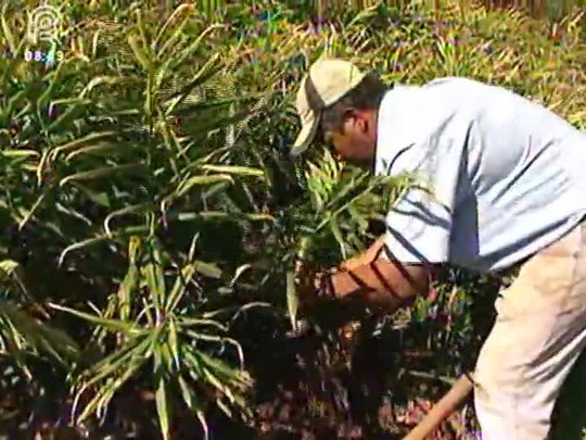 Veja o que as grandes empresas estão fazendo para valorizar o agricultor familiar