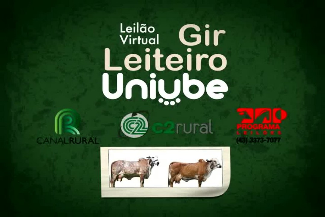 Leilão Virtual Gir Leiteiro Uniube