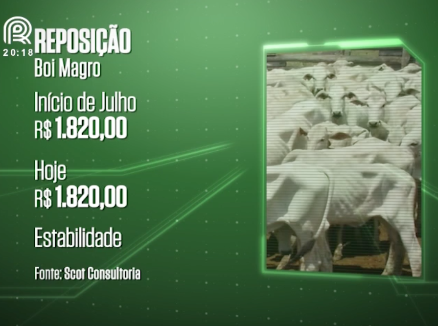 Análise: por que o mercado de reposição fechou em alta