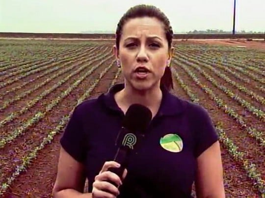 Tempo seco atrapalha o cultivo da soja em Sorriso (MT)