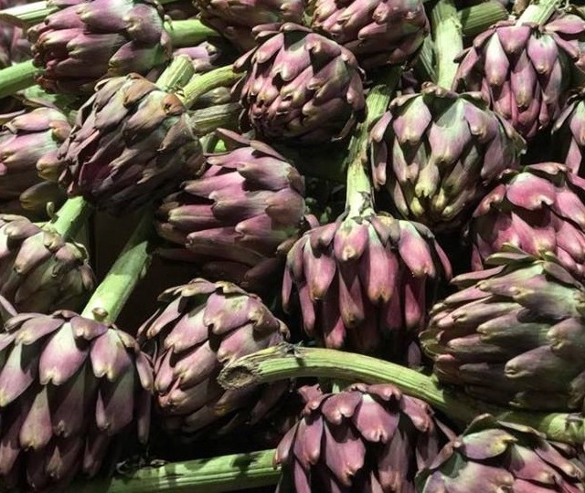 Foto: Fábio Santos/Canal Rural