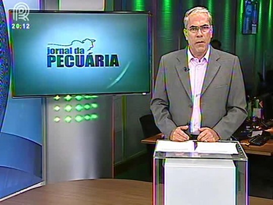 Rebanho Gordo: criadores suspeitam que capim massai cause cólica em cavalos