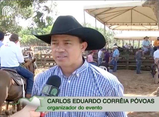 MT: cavalo também reina em espaço dedicado ao boi