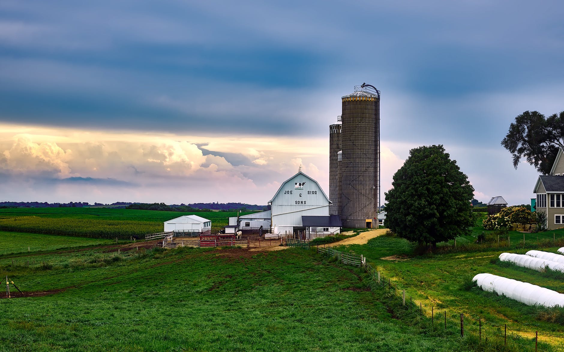 Fazenda ou empresa? ESG, sustentabilidade e o futuro do agro