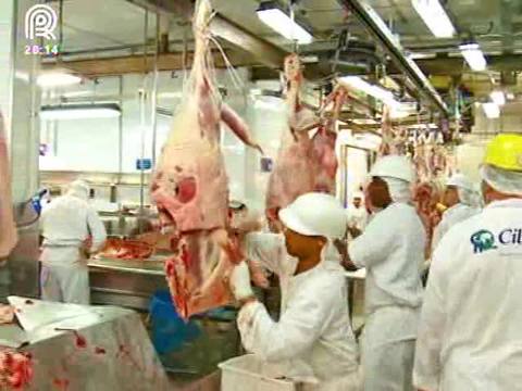 Exportações de carne bovina aumentam 30%