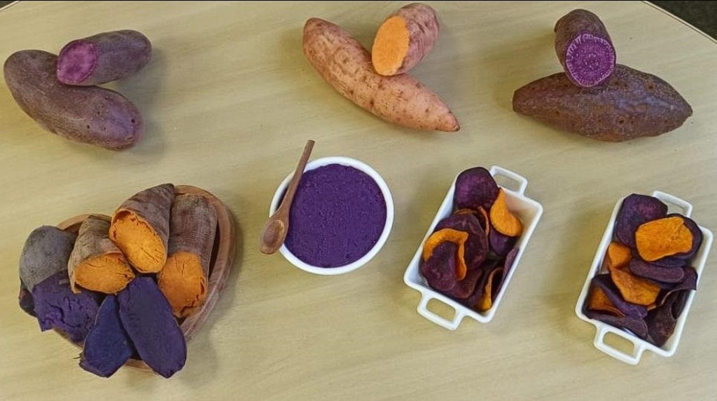 batata-doce batata-doce