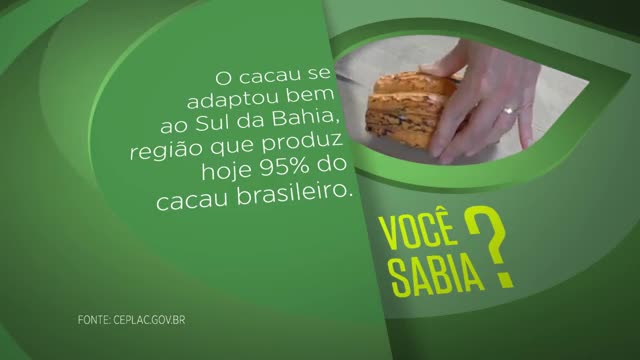 Blog Minuto do Sabor - Bolo integral