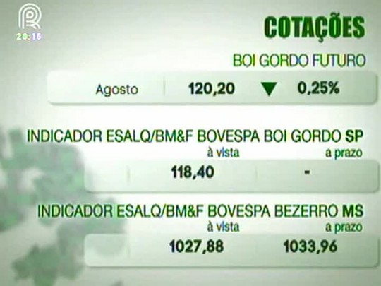 Mercado do boi gordo têm queda nos preços