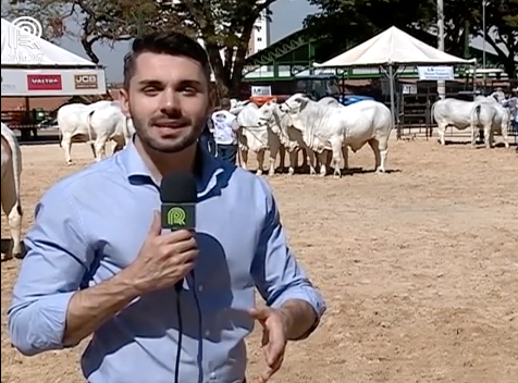 Capital do rodeio, Barretos espera 600 animais na Expoagro