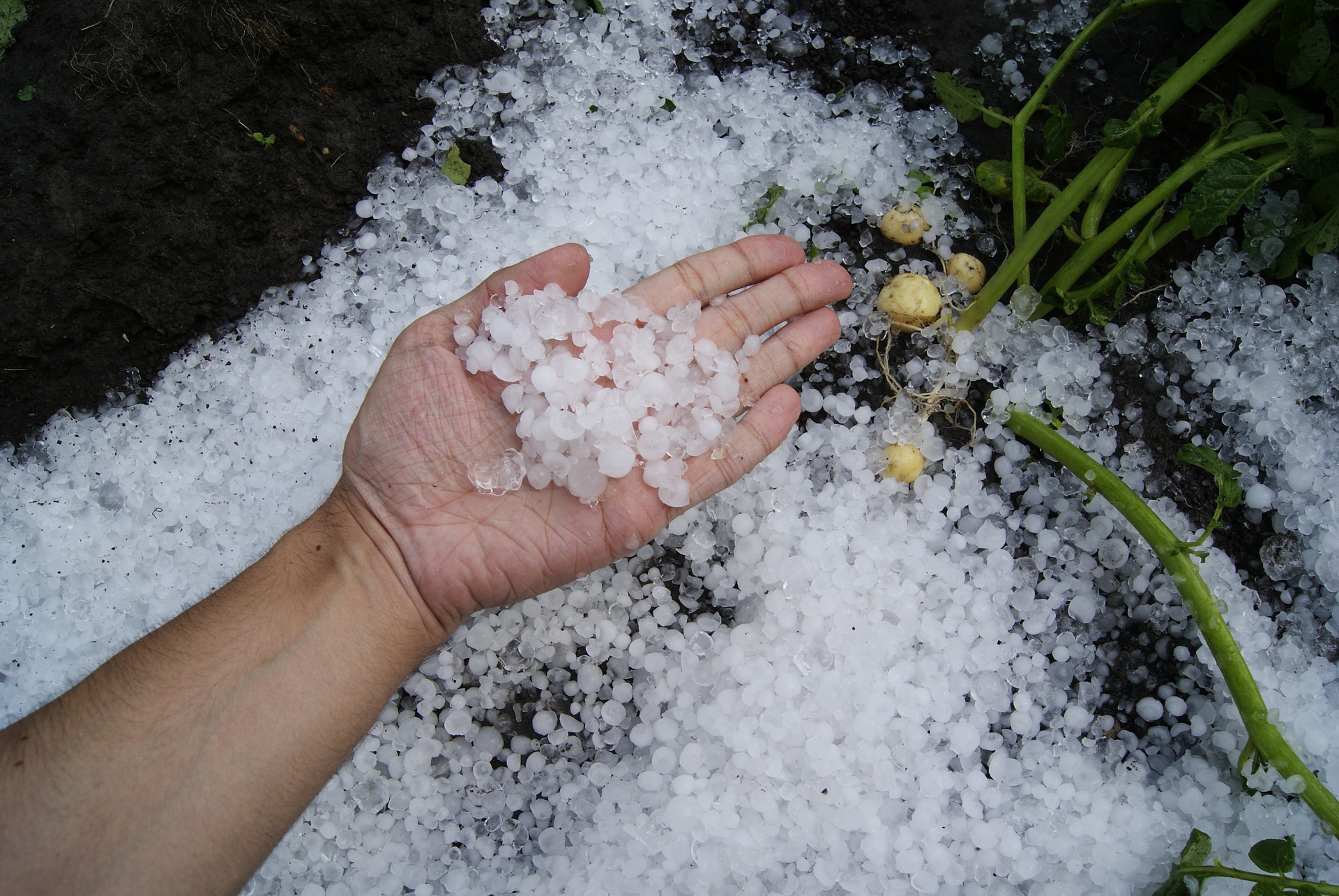 mão segurando pedras de granizo