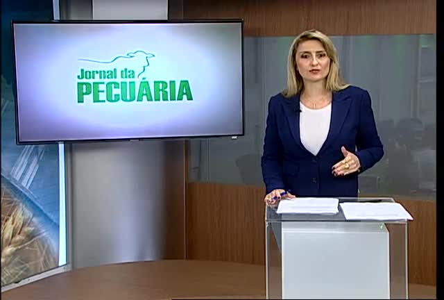 Preço do farelo de soja está praticamente estável em novembro