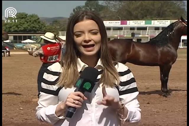 Começa a exposição nacional do mangalarga marchador