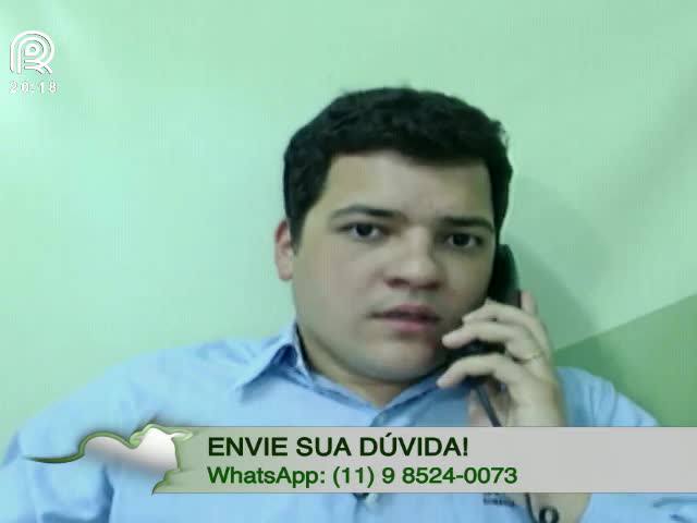 Saiba como investir R$ 20 mil na pecuária