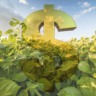 dinheiro, safra, recurso, safra - financiamento agrícola, Funrural, produtor rural