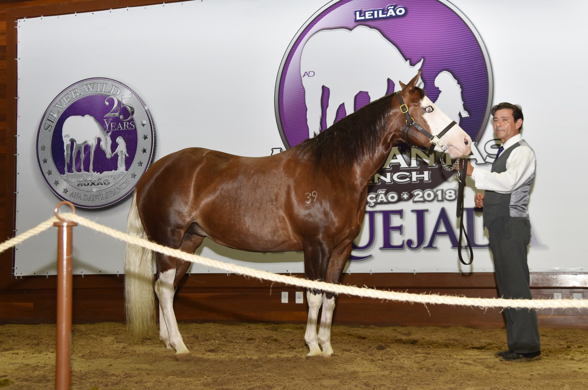 Palooza, cavalo para vaquejada